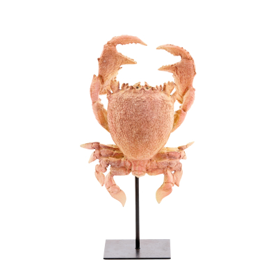 Статуетка краб Light&Living на підставці висота 43 см